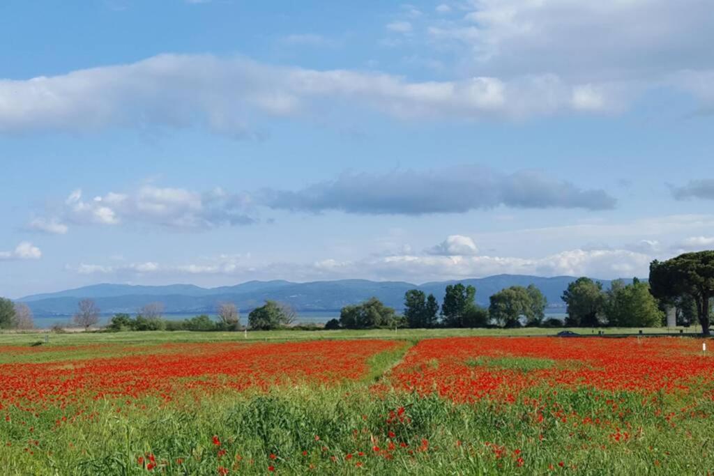 Apartmán Bellavista La Tua Romantica Vacanza Sul Trasimeno Castiglione del Lago Exteriér fotografie