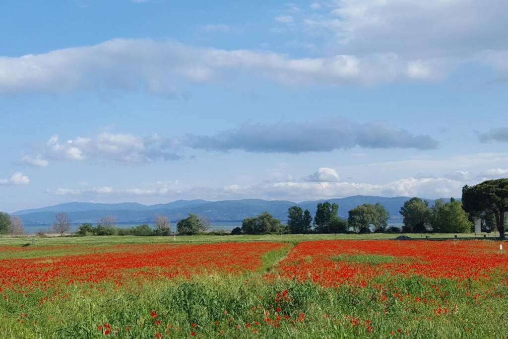 Bellavista La Tua Romantica Vacanza Sul Trasimeno Castiglione del Lago Exteriér fotografie