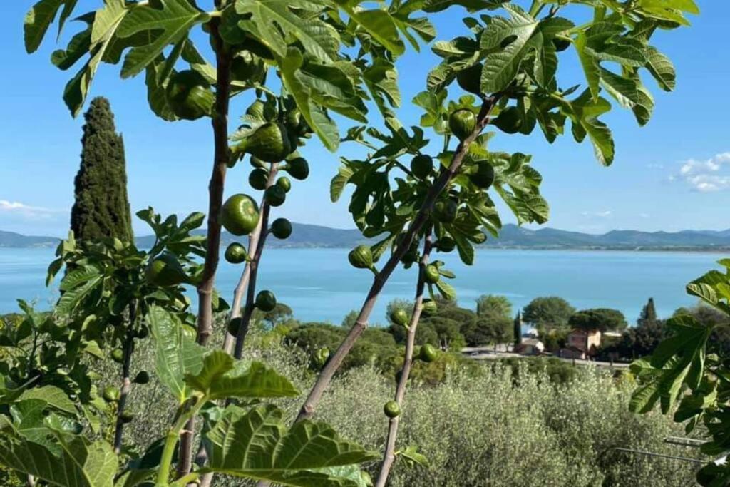 Apartmán Bellavista La Tua Romantica Vacanza Sul Trasimeno Castiglione del Lago Exteriér fotografie