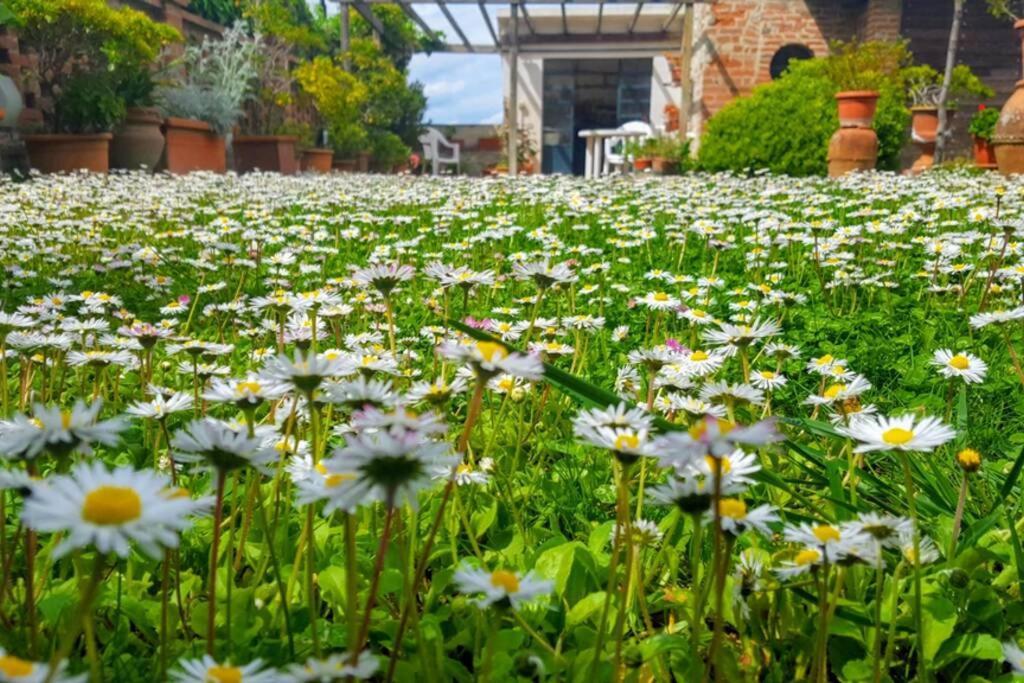 Bellavista La Tua Romantica Vacanza Sul Trasimeno Castiglione del Lago Exteriér fotografie