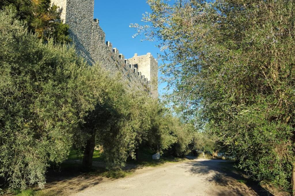 Apartmán Bellavista La Tua Romantica Vacanza Sul Trasimeno Castiglione del Lago Exteriér fotografie