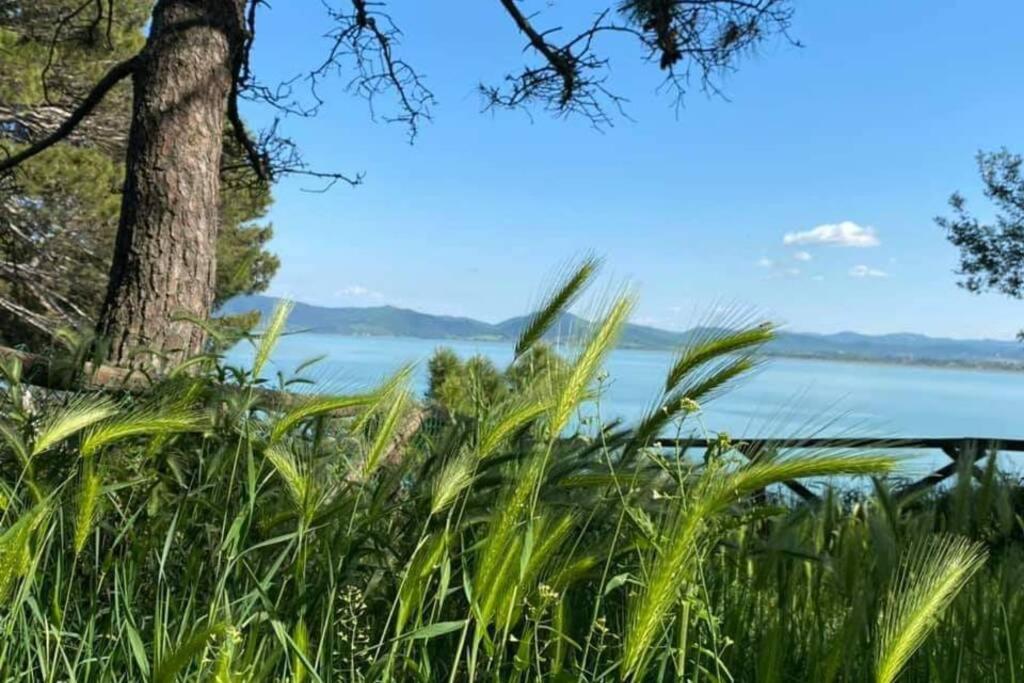 Apartmán Bellavista La Tua Romantica Vacanza Sul Trasimeno Castiglione del Lago Exteriér fotografie