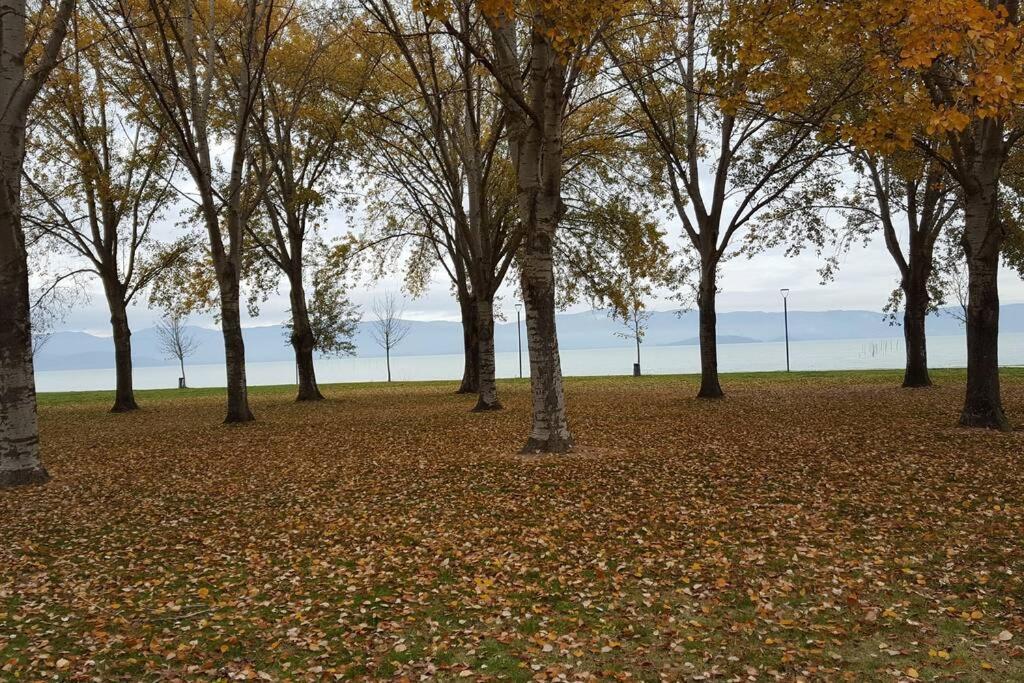 Apartmán Bellavista La Tua Romantica Vacanza Sul Trasimeno Castiglione del Lago Exteriér fotografie