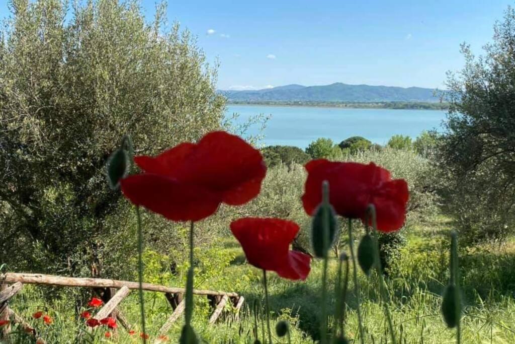 Apartmán Bellavista La Tua Romantica Vacanza Sul Trasimeno Castiglione del Lago Exteriér fotografie