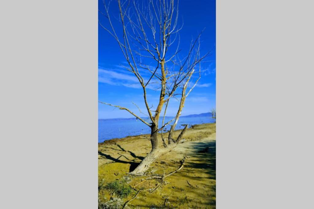 Bellavista La Tua Romantica Vacanza Sul Trasimeno Castiglione del Lago Exteriér fotografie