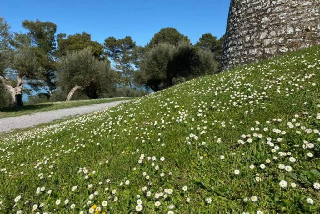 Apartmán Bellavista La Tua Romantica Vacanza Sul Trasimeno Castiglione del Lago Exteriér fotografie