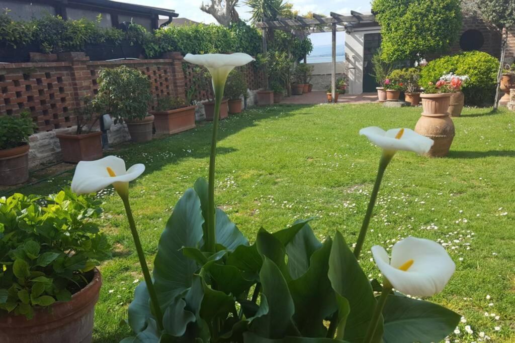 Bellavista La Tua Romantica Vacanza Sul Trasimeno Castiglione del Lago Exteriér fotografie