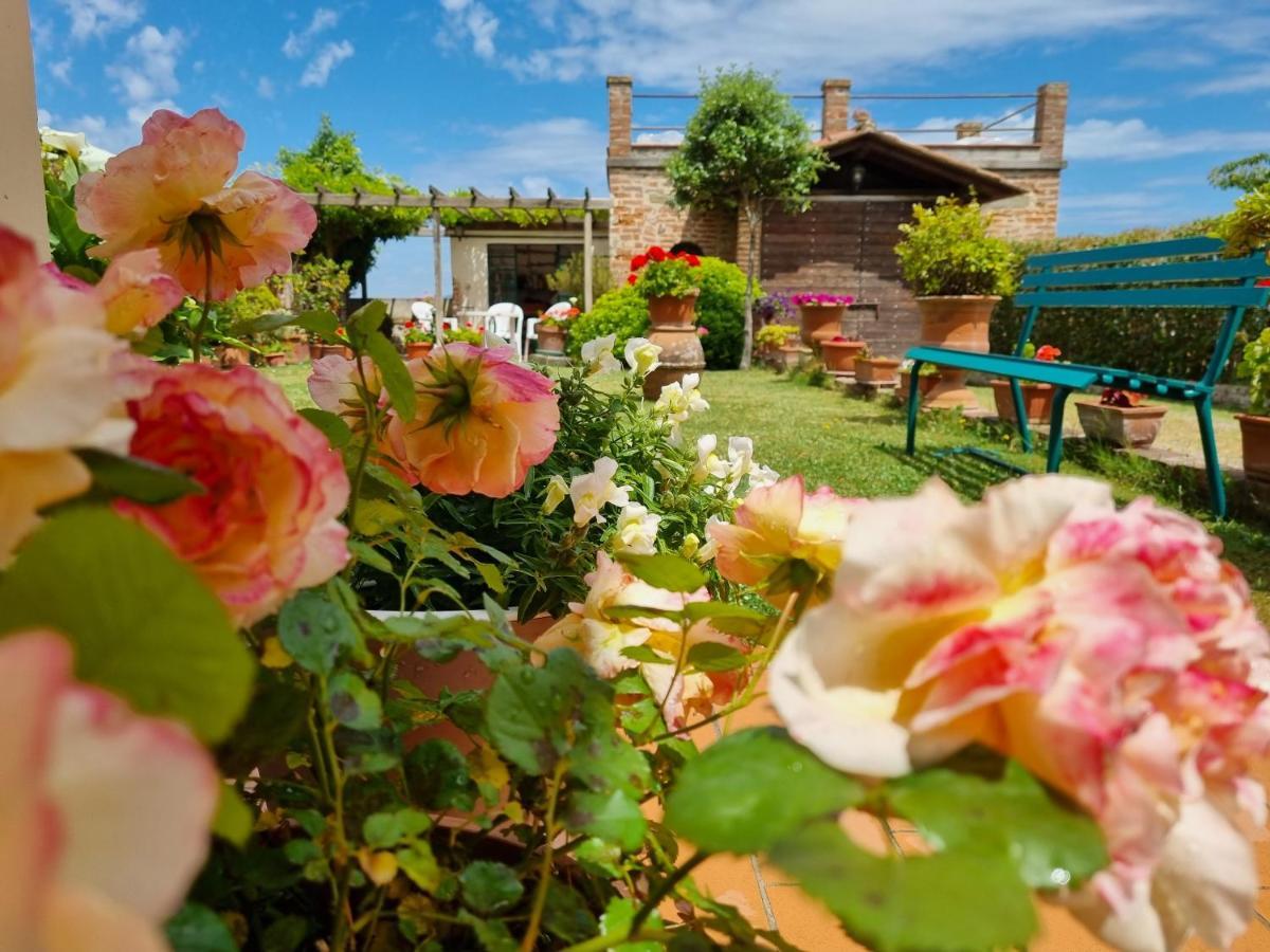 Bellavista La Tua Romantica Vacanza Sul Trasimeno Castiglione del Lago Exteriér fotografie